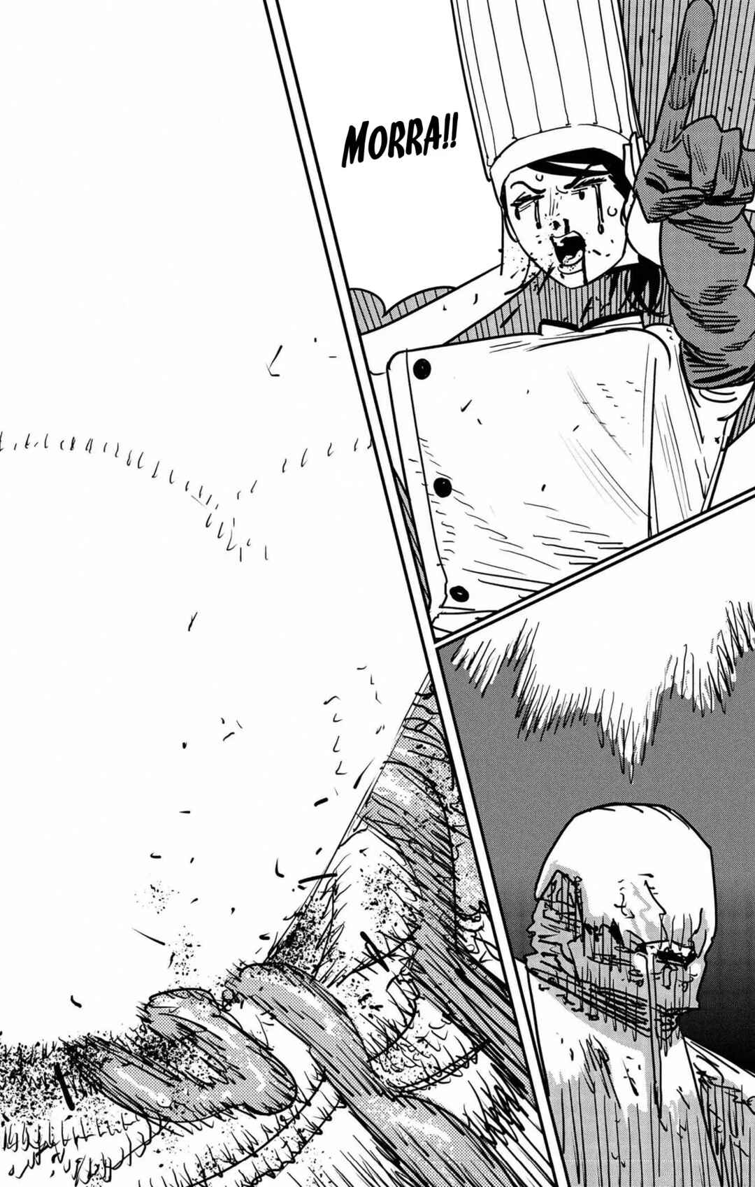 Read Chainsaw Man BR Manga Online