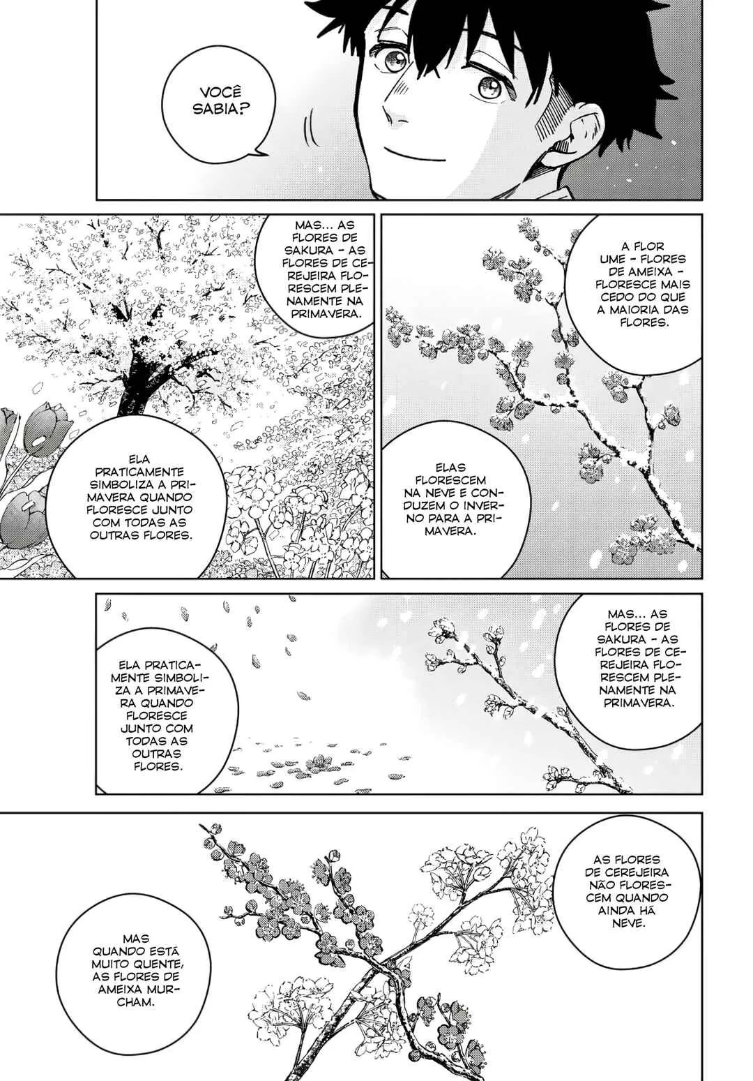 Read Wind Breaker BR Manga Online