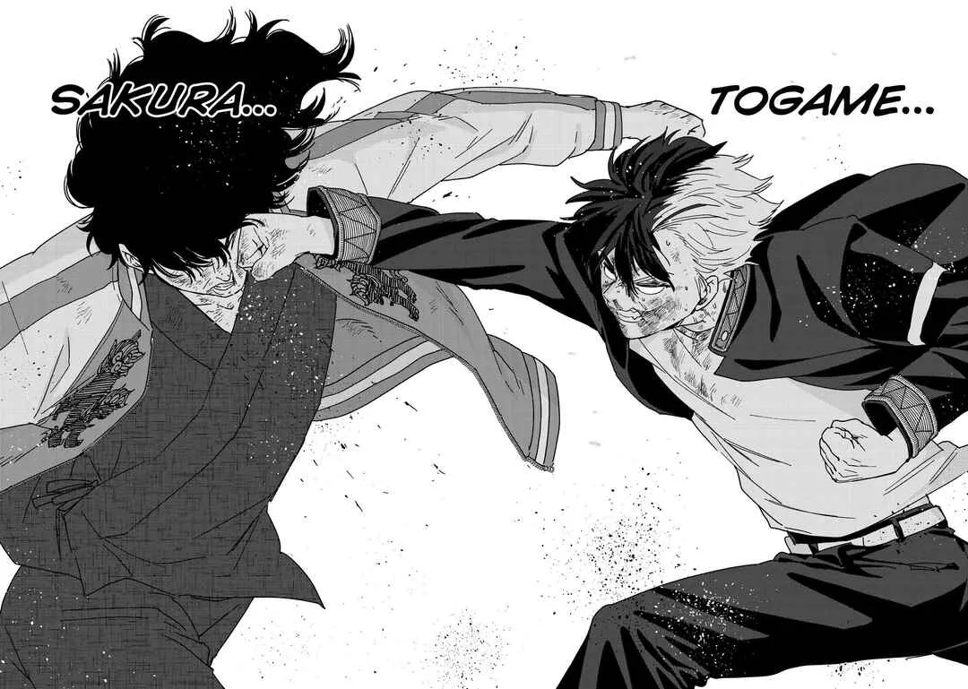 Read Wind Breaker BR Manga Online