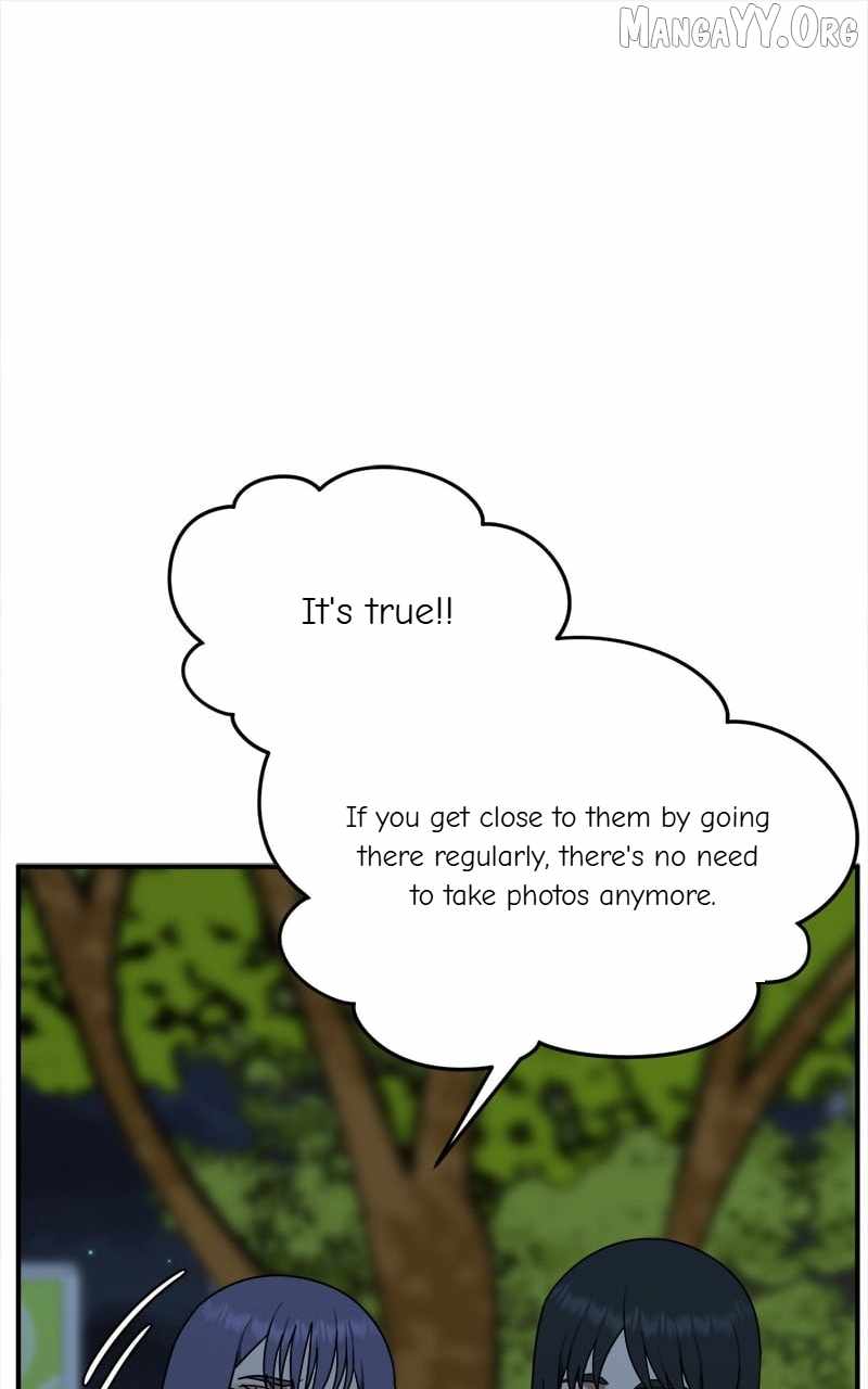 Read Change Me Manga Online