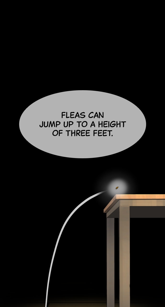 Read Killer Pietro Manga Online
