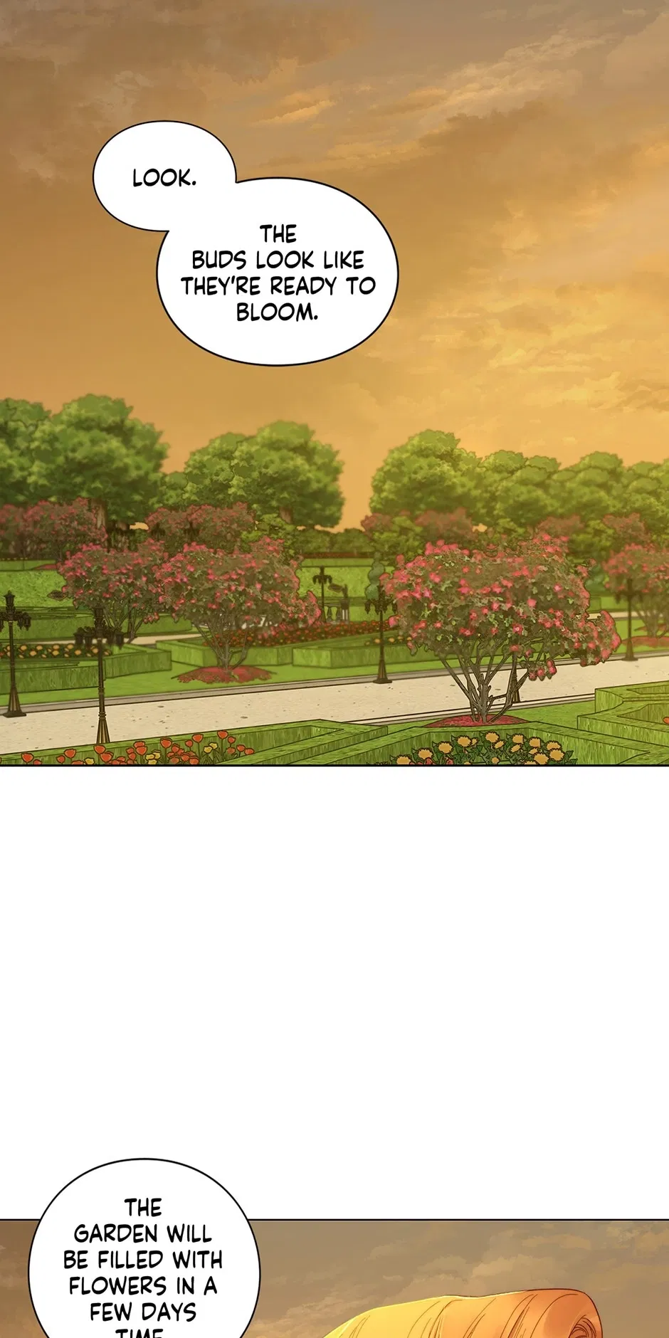 Read Lucia Manga Online