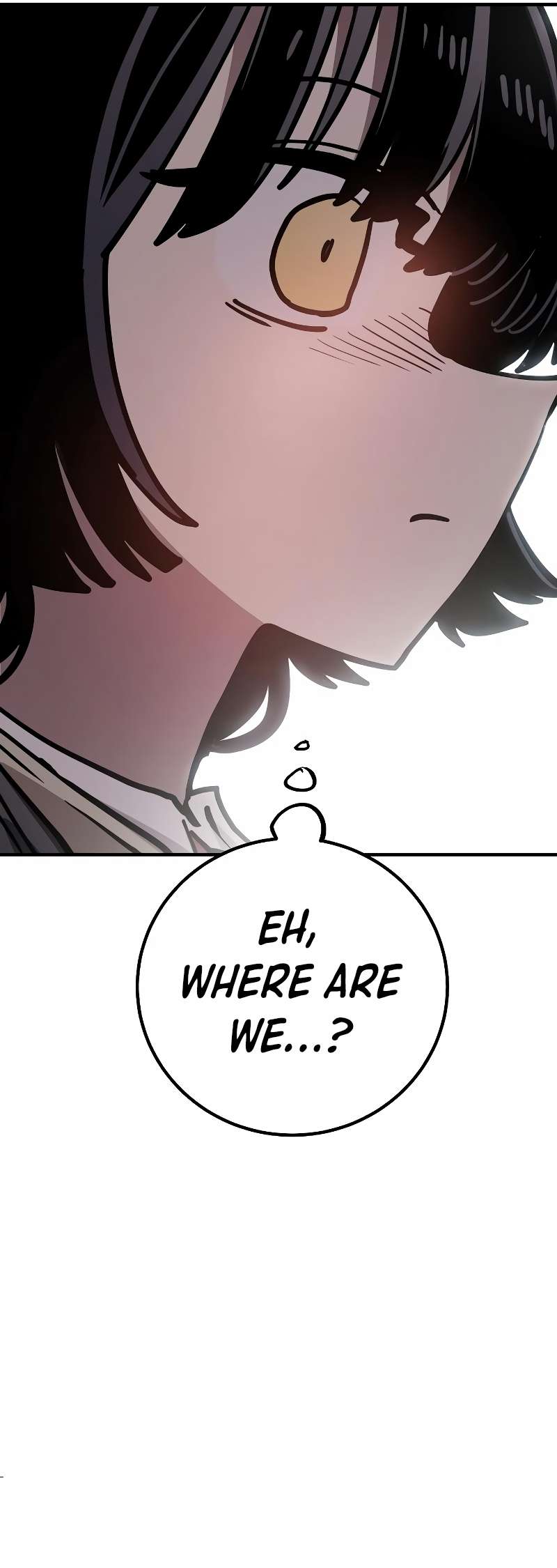 Read Player  Manga Online