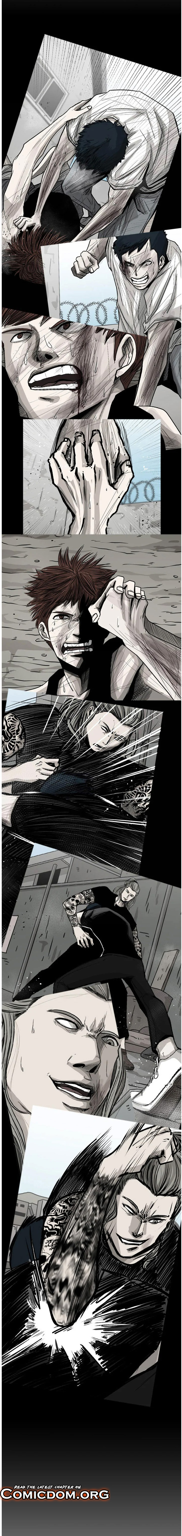 Read Shark Manga Online