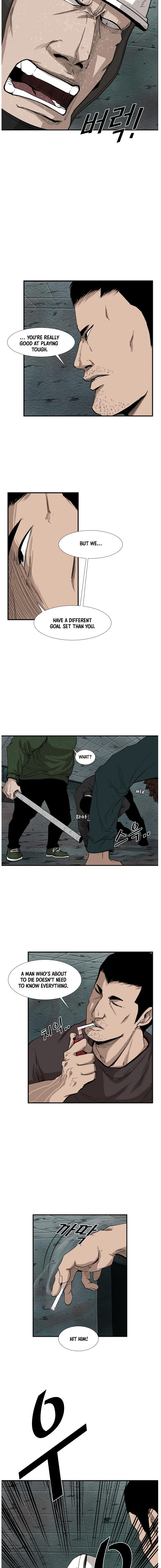 Read Shark Manga Online