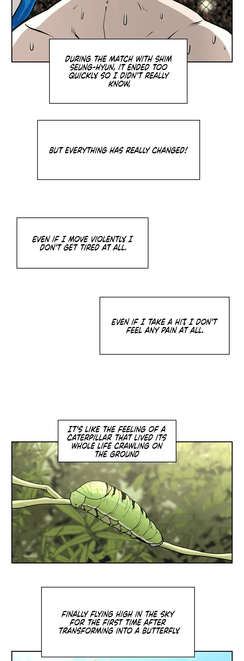 Read Shark Manga Online