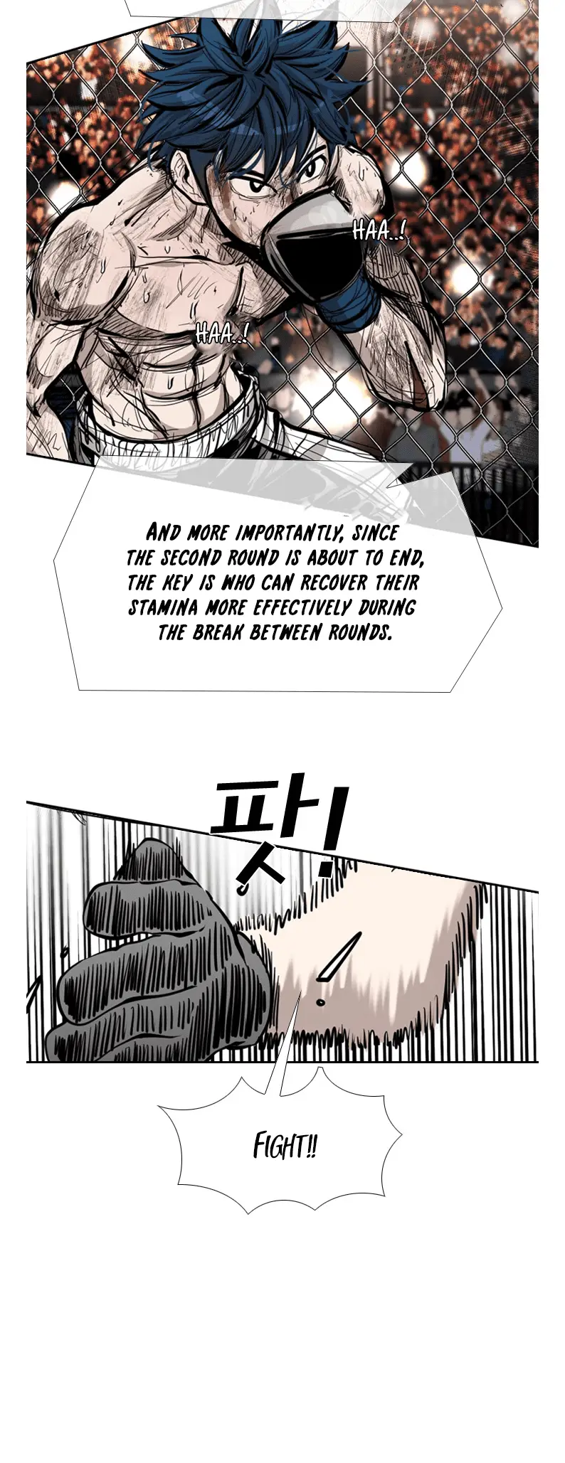 Read Shark Manga Online
