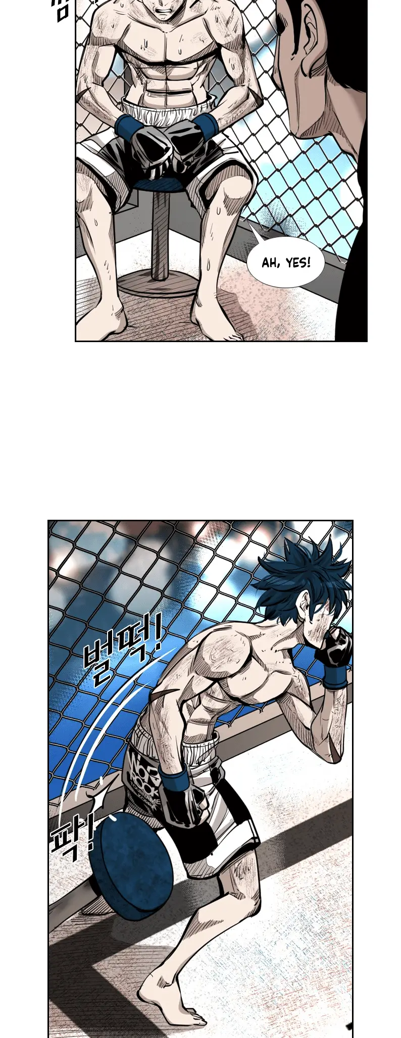 Read Shark Manga Online