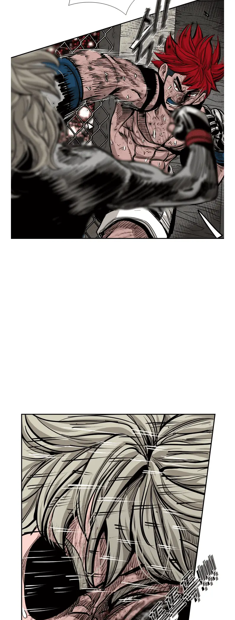Read Shark Manga Online