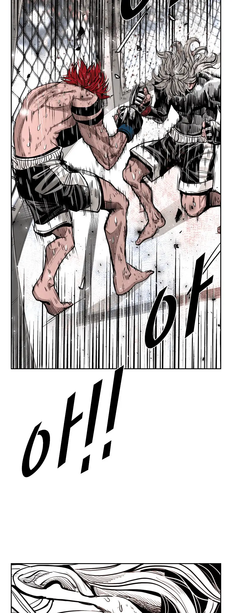 Read Shark Manga Online