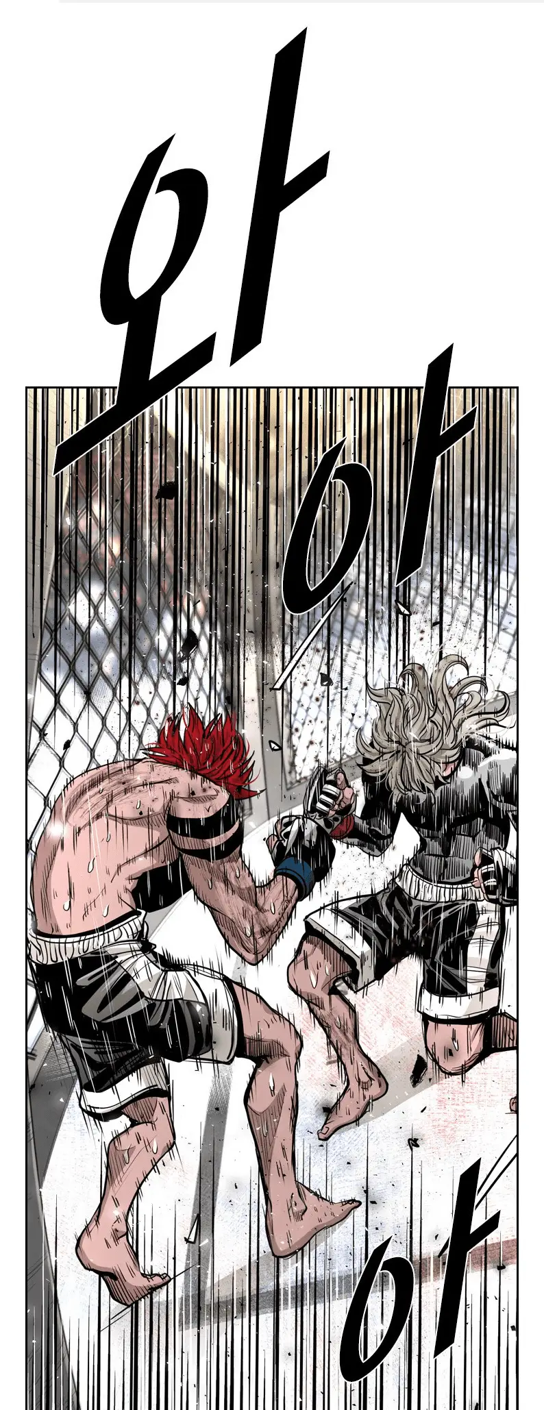 Read Shark Manga Online