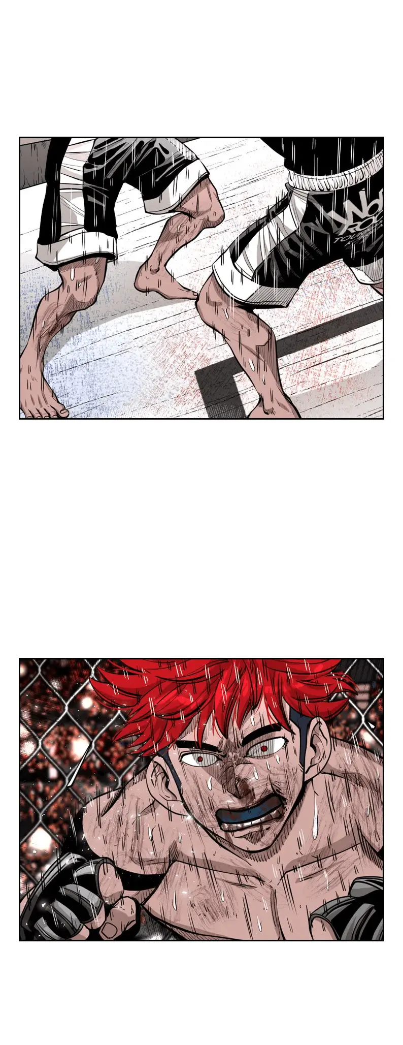 Read Shark Manga Online
