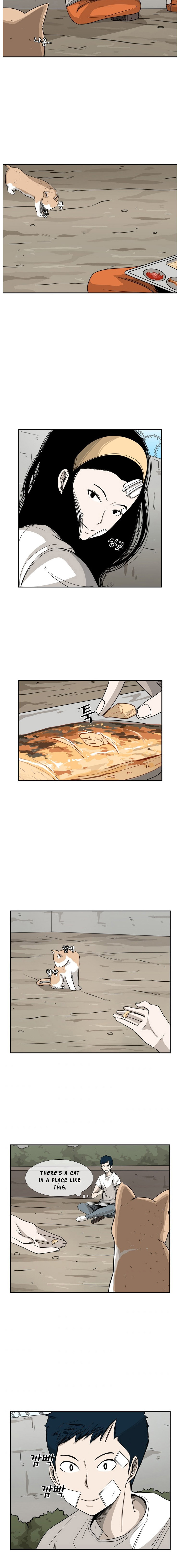 Read Shark Manga Online