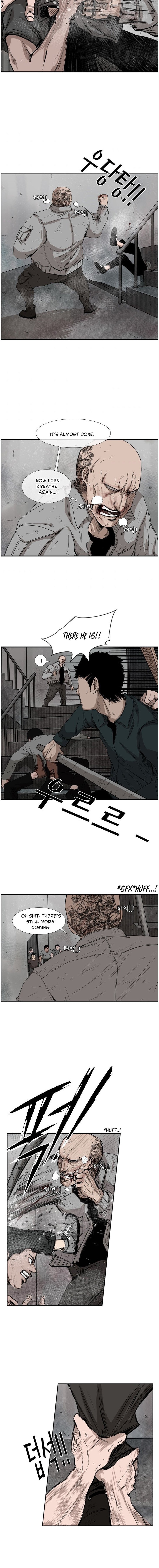 Read Shark Manga Online